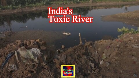 Indian villagers say Krishna River to blame for illnesses