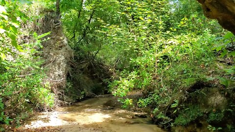 Under the Torreya State Park Stone Bridge facing North