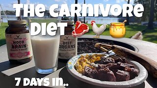 7 Days on Carnivore Diet: Here's What Happened...