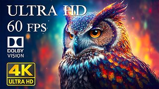 4K HDR 60fps Dolby Vision with Animal Sounds & Calming Music (Colorful Dynamic) #1