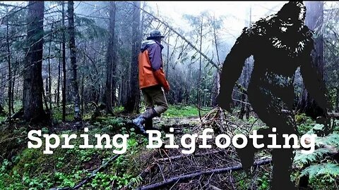 Bigfoot In The Spring