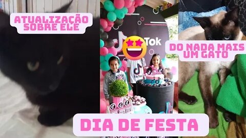 Atualização sobre a saúde dele- Dia de festa pras crianças- Mais um gato apareceu o que fazer??