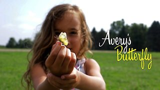 Avery's Butterfly