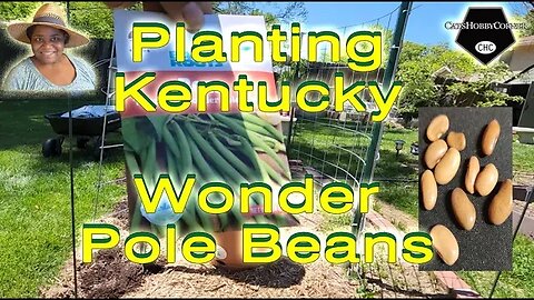 #plantingvegetables #kentucky Wonder Pole #greenbeans -#catshobbycorner