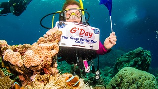 Divers find some amazing creatures on The Great Barrier Reef