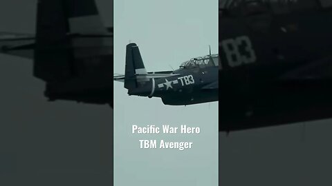 #aviationlover #aviation #warbird #airplanesdaily #military #navy #avenger #tbm #rcplane