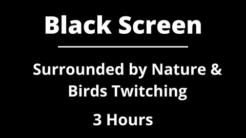 Surrounded by Nature & Birds Twitching - Black Screen
