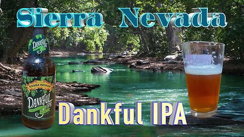 Embracing Dank Delights: Unveiling Sierra Nevada's Dankful Brew