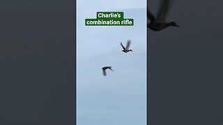 Is Charlie’s combination rifle the all-round gun he is looking for? #fieldsportsbritain