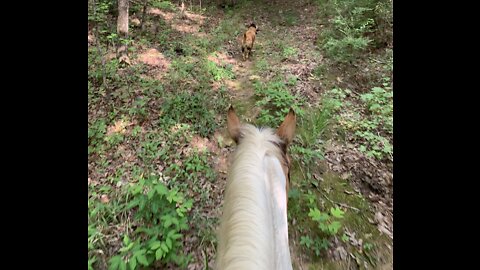 You don’t need a trail when your riding a horse