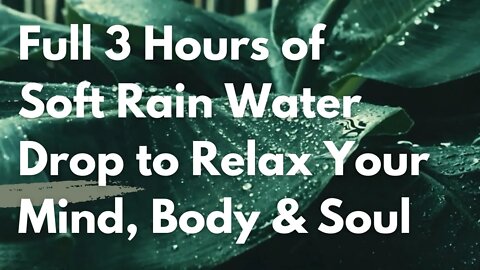 Soothing Rain Drop to Relax Your Mind, Body & Soul - Three hours of pure Rain Drops