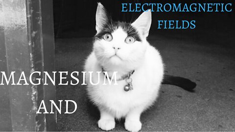 Magnesium and Electromagnetic fields