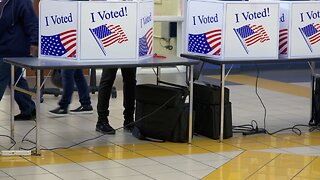 Election Experts Say Coronavirus Outbreak Could Threaten US Elections