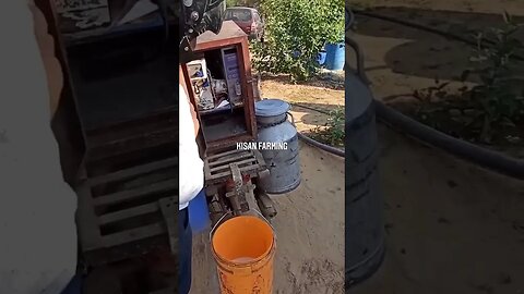 Dairy Farm Technique #dairyfarm #technique #agriculture #agrifarm #shorts #youtubeshorts #kisan