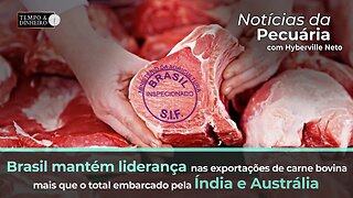 Brasil mantém liderança nas exportações de carne bovina , mais que o total de Índia e Austrália.