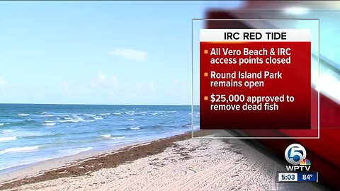 High levels of red tide detected in Indian River County beaches