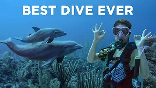 Our BEST DIVE Ever | Scuba Diving with Dolphins in Belize