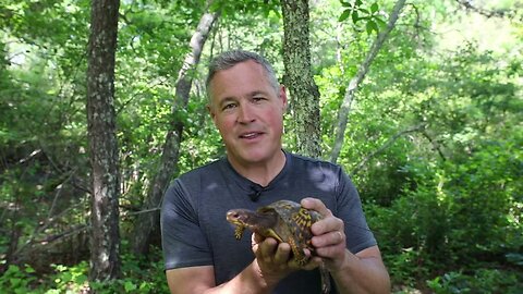 Service, Jeff Corwin team up to keep turtles safe from illegal trade