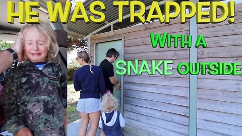 SNAKE, WHALES & BAD TOILETS! (Oz Roadtrip) | Bus Life NZ | Ep 61