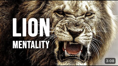 Lion mentality