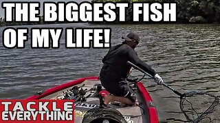 Why We Bass Fish....