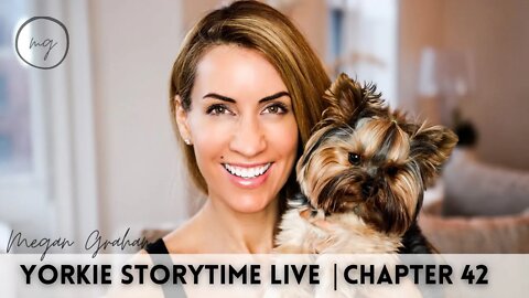Yorkie Storytime Live | Chapter 42