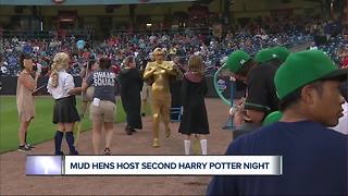 Toledo Mud Hens hold second annual Harry Potter night