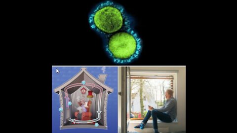 Infection-coefficient SARS-CoV-2 & Comorbidity