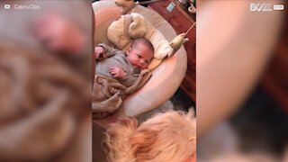 Det mest bedårende vennskapet mellom en hund og en baby