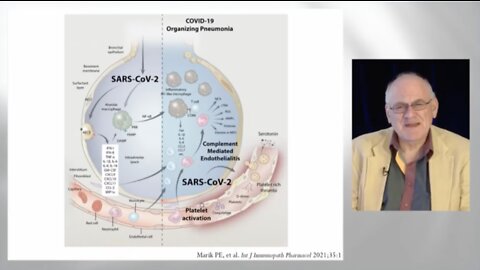 Dr. Paul Marik - A Focus on the Clinical Management of COVID-19