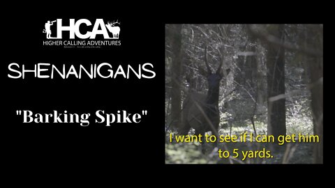 "Barking Spike" HCA Shenanigans || Elk barking || Deer Bear Turkey Bow Archery Hunting Funny