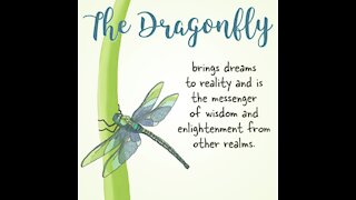 Dragonfly quote [GMG Originals]