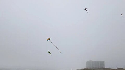 Kite day Johnson´s Beach Perdido Key