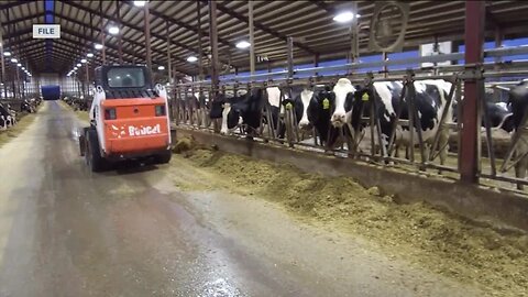 Wisconsin seeks relief for dairy farmers
