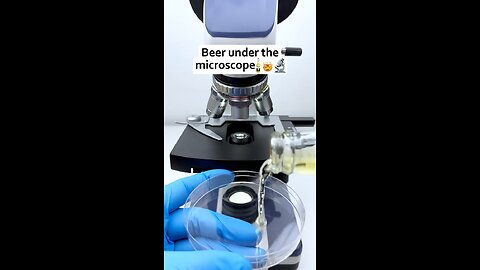 Beer 🍺 Under The Microscope 🔬