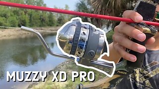 Muzzy XD PRO Reel REVIEW (Best Beginner Bow fishing reel)