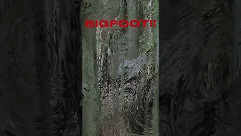 PROOF OF BIGFOOT !! MUST SEE!! #explore#paranormal#subscribe#shortsvideo#wtf#creepy#wow#halloween