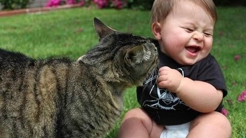 Funny Baby Moment With Cat | Cat Funny Video | Funny Video | Arif10BD |