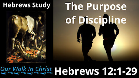 The Purpose of Discipline | Hebrews 19