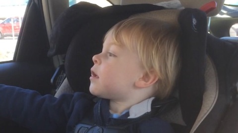 2 year old gets nervous when he sees a bug in the car
