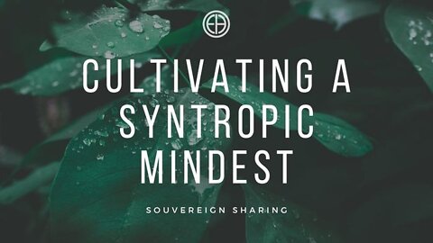 Cultivating a Syntropic Mindsong - Souvereign Sharing