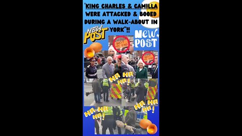 🔎 ‘KING CHARLES & CAMILLA’ ATTACKED DURING WALK-A-BOUT!! #shorts #kingcharles #royalfamily #funny