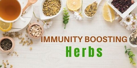 Top 10 Herbs for Lung Health, Clearing Mucus, COPD, and Killing Viruses and boost immune
