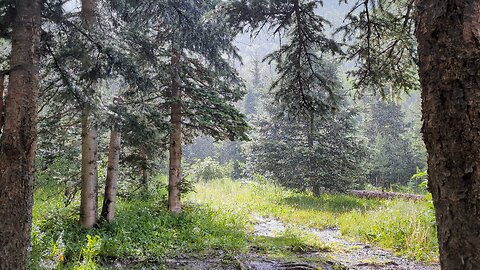 Rainy camping in the mountains