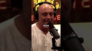 The Truth About Happiness | Joe Rogan #podcast #shorts