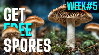 Free Spores Give Away Week 5