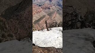 Watch as I walk this dirt path to the edge of the Grand Canyon!! What a view!