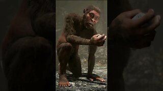İnsanlık Tarihinde Bir Çığır Açan An: Homo habilis ve İlk Alet Kullanımı