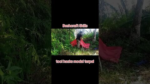 Bushcraft ( Toll Hacks ) #shorts #asmr #forest #survival #skills #outdoors