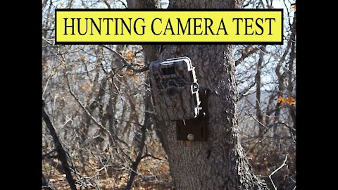 Let´s test a hunting camera for predators around the chicken coop